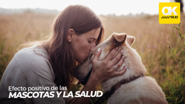 El efecto positivo de las mascotas en nuestra salud y calidad de vida